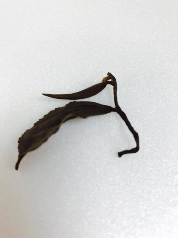 東方美人茶 75g：圖片 3